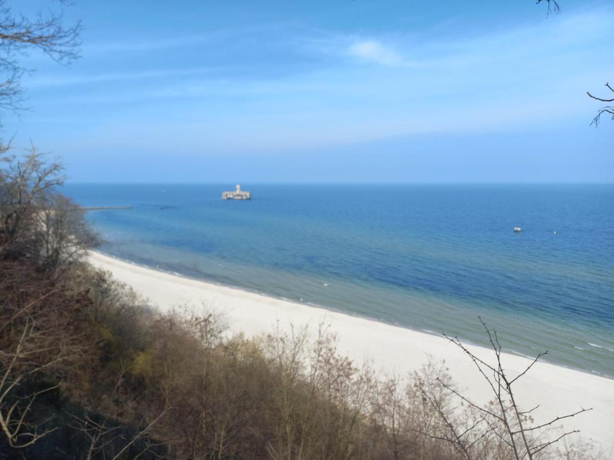 Mieszkanie Ikara 4 Gdynia Eksteriør bilde